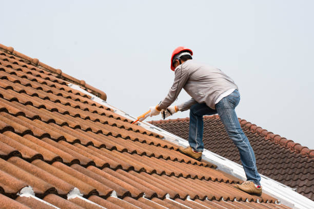 Best Wood Shake Roofing  in Kayenta, AZ